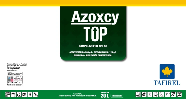 [Taf00031] AZOXCY TOP
