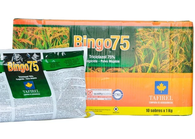 [Taf00028] BINGO 75