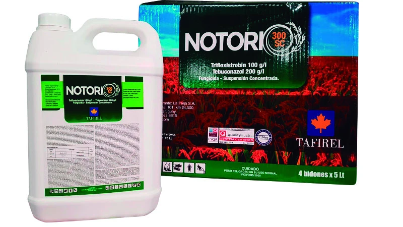 [Taf00012] Notorio - Trifloxistrobin 10% + Tebuconazole 20%