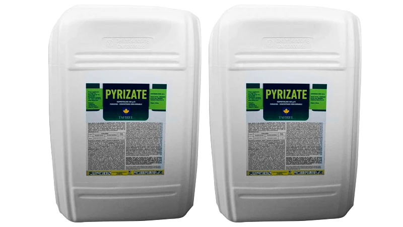 [Taf00011] PYRIZATE