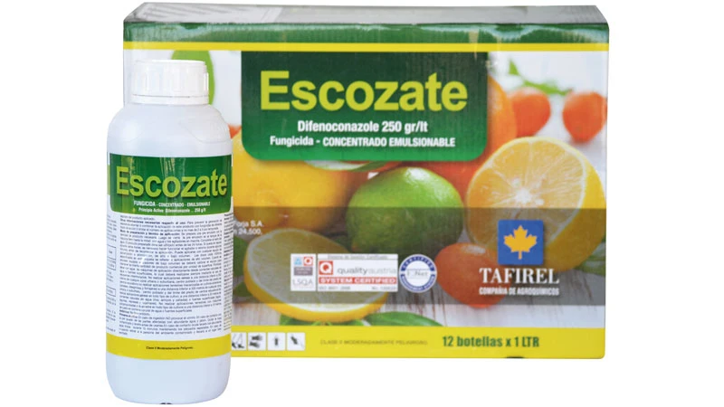 [Taf00013] ESCOZATE