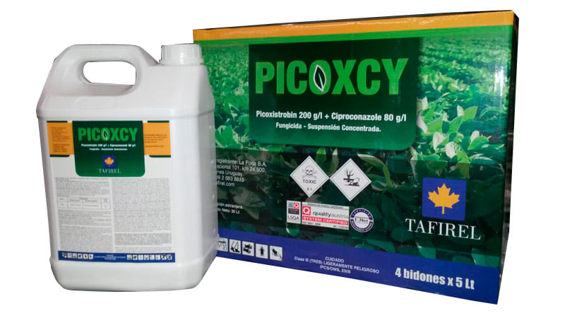 [Taf00049] Picoxcy 5 lit