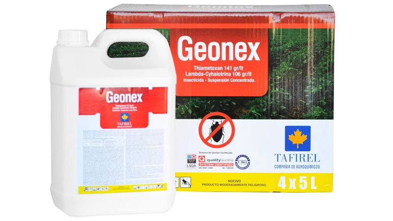 [Taf00006] GEONEX
