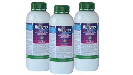 [Taf000138] Adherex Siliconado 1 litro