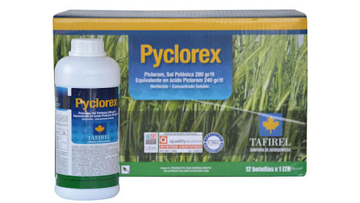 [1010048] Pyclorex - Picloram 24% sin colorante